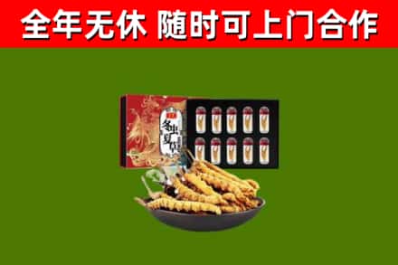 巴林左烟酒回收冬虫夏草礼盒.jpg